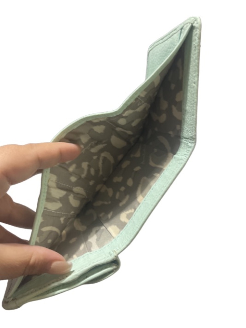 Aimee Kestenberg Ashley Mint
Green Pebbled Leather Mini
Pouch Wallet - Picture 9 of 10